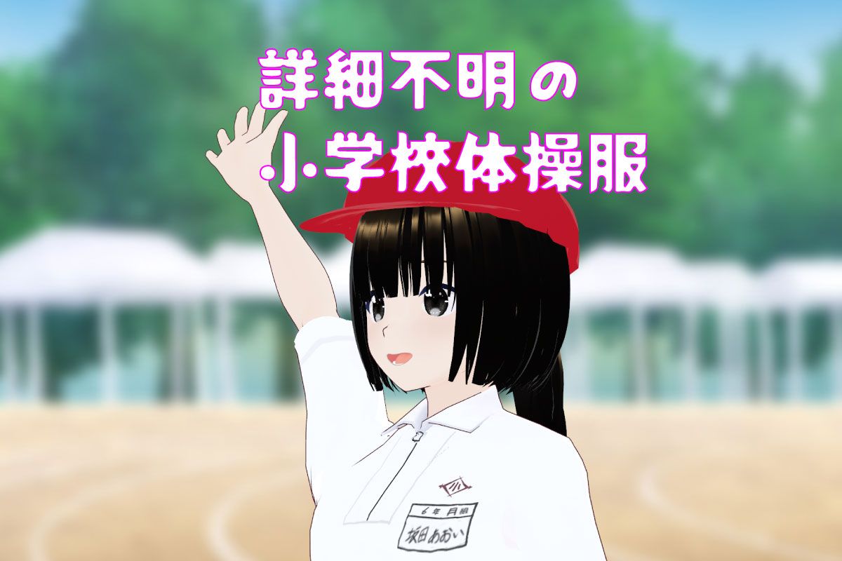 【3Dモデル】【情報求む】学校不明の小学校半袖体操服 #001